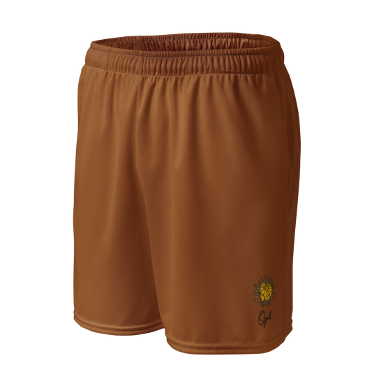 Summer Unisex mesh shorts
