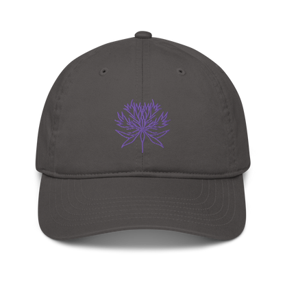 "Line" Organic hat