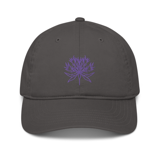 "Line" Organic hat